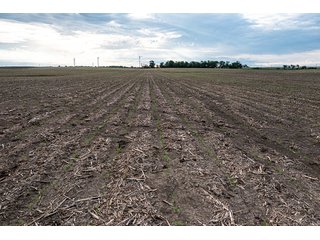 Property photo 21 - IMPORTANT LAND AUCTION - 383+/- ACRES OFFERED IN 7 TRACTS IN CHARLES MIX COUNTY, SOUTH DAKOTA