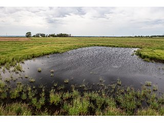 Property photo 70 - IMPORTANT LAND AUCTION - 383+/- ACRES OFFERED IN 7 TRACTS IN CHARLES MIX COUNTY, SOUTH DAKOTA