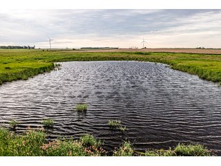 Property photo 71 - IMPORTANT LAND AUCTION - 383+/- ACRES OFFERED IN 7 TRACTS IN CHARLES MIX COUNTY, SOUTH DAKOTA
