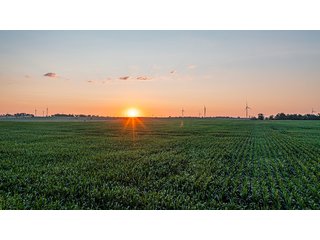 Property photo 22 - IMPORTANT LAND AUCTION - 383+/- ACRES OFFERED IN 7 TRACTS IN CHARLES MIX COUNTY, SOUTH DAKOTA