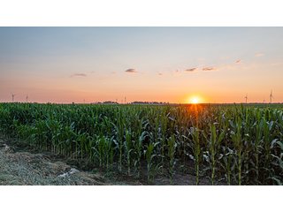 Property photo 23 - IMPORTANT LAND AUCTION - 383+/- ACRES OFFERED IN 7 TRACTS IN CHARLES MIX COUNTY, SOUTH DAKOTA