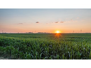 Property photo 24 - IMPORTANT LAND AUCTION - 383+/- ACRES OFFERED IN 7 TRACTS IN CHARLES MIX COUNTY, SOUTH DAKOTA
