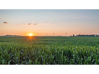 Property photo 25 - IMPORTANT LAND AUCTION - 383+/- ACRES OFFERED IN 7 TRACTS IN CHARLES MIX COUNTY, SOUTH DAKOTA