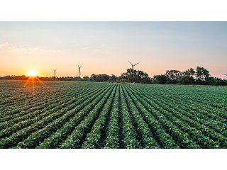 Property photo 28 - IMPORTANT LAND AUCTION - 383+/- ACRES OFFERED IN 7 TRACTS IN CHARLES MIX COUNTY, SOUTH DAKOTA