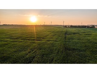 Property photo 30 - IMPORTANT LAND AUCTION - 383+/- ACRES OFFERED IN 7 TRACTS IN CHARLES MIX COUNTY, SOUTH DAKOTA