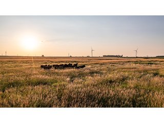 Property photo 57 - IMPORTANT LAND AUCTION - 383+/- ACRES OFFERED IN 7 TRACTS IN CHARLES MIX COUNTY, SOUTH DAKOTA