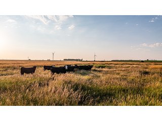 Property photo 51 - IMPORTANT LAND AUCTION - 383+/- ACRES OFFERED IN 7 TRACTS IN CHARLES MIX COUNTY, SOUTH DAKOTA