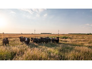 Property photo 53 - IMPORTANT LAND AUCTION - 383+/- ACRES OFFERED IN 7 TRACTS IN CHARLES MIX COUNTY, SOUTH DAKOTA
