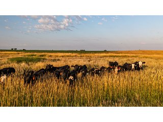 Property photo 54 - IMPORTANT LAND AUCTION - 383+/- ACRES OFFERED IN 7 TRACTS IN CHARLES MIX COUNTY, SOUTH DAKOTA