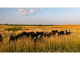 Property photo 55 - IMPORTANT LAND AUCTION - 383+/- ACRES OFFERED IN 7 TRACTS IN CHARLES MIX COUNTY, SOUTH DAKOTA