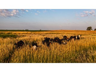 Property photo 56 - IMPORTANT LAND AUCTION - 383+/- ACRES OFFERED IN 7 TRACTS IN CHARLES MIX COUNTY, SOUTH DAKOTA