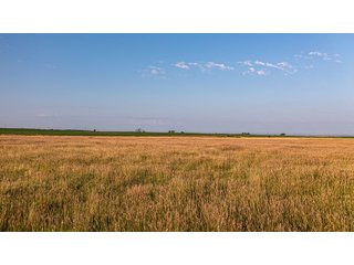 Property photo 49 - IMPORTANT LAND AUCTION - 383+/- ACRES OFFERED IN 7 TRACTS IN CHARLES MIX COUNTY, SOUTH DAKOTA