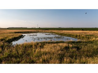 Property photo 47 - IMPORTANT LAND AUCTION - 383+/- ACRES OFFERED IN 7 TRACTS IN CHARLES MIX COUNTY, SOUTH DAKOTA