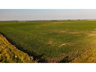 Property photo 42 - IMPORTANT LAND AUCTION - 383+/- ACRES OFFERED IN 7 TRACTS IN CHARLES MIX COUNTY, SOUTH DAKOTA