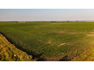 Property photo 43 - IMPORTANT LAND AUCTION - 383+/- ACRES OFFERED IN 7 TRACTS IN CHARLES MIX COUNTY, SOUTH DAKOTA