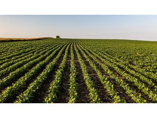 Property photo 44 - IMPORTANT LAND AUCTION - 383+/- ACRES OFFERED IN 7 TRACTS IN CHARLES MIX COUNTY, SOUTH DAKOTA