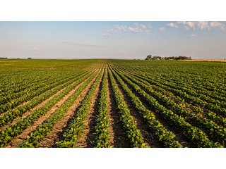 Property photo 45 - IMPORTANT LAND AUCTION - 383+/- ACRES OFFERED IN 7 TRACTS IN CHARLES MIX COUNTY, SOUTH DAKOTA