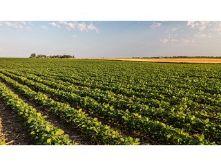 Property photo 46 - IMPORTANT LAND AUCTION - 383+/- ACRES OFFERED IN 7 TRACTS IN CHARLES MIX COUNTY, SOUTH DAKOTA