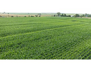 Property photo 10 - IMPORTANT LAND AUCTION - 383+/- ACRES OFFERED IN 7 TRACTS IN CHARLES MIX COUNTY, SOUTH DAKOTA