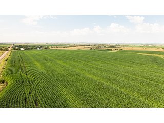 Property photo 11 - IMPORTANT LAND AUCTION - 383+/- ACRES OFFERED IN 7 TRACTS IN CHARLES MIX COUNTY, SOUTH DAKOTA