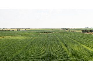 Property photo 12 - IMPORTANT LAND AUCTION - 383+/- ACRES OFFERED IN 7 TRACTS IN CHARLES MIX COUNTY, SOUTH DAKOTA