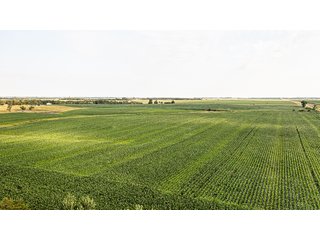 Property photo 13 - IMPORTANT LAND AUCTION - 383+/- ACRES OFFERED IN 7 TRACTS IN CHARLES MIX COUNTY, SOUTH DAKOTA