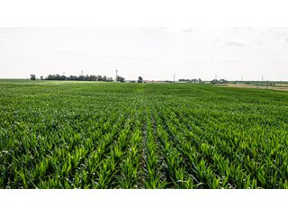 Property photo 33 - IMPORTANT LAND AUCTION - 383+/- ACRES OFFERED IN 7 TRACTS IN CHARLES MIX COUNTY, SOUTH DAKOTA