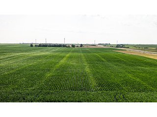 Property photo 34 - IMPORTANT LAND AUCTION - 383+/- ACRES OFFERED IN 7 TRACTS IN CHARLES MIX COUNTY, SOUTH DAKOTA