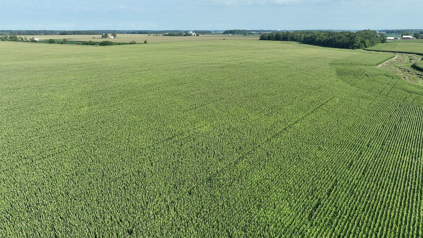 Property photo 6 - **CANCELED** LAND AUCTION - 256+/- ACRES OFFERED IN 5 TRACTS IN WELLS COUNTY, INDIANA
