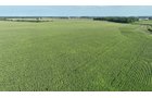 Property photo 6 - **CANCELED** LAND AUCTION - 256+/- ACRES OFFERED IN 5 TRACTS IN WELLS COUNTY, INDIANA