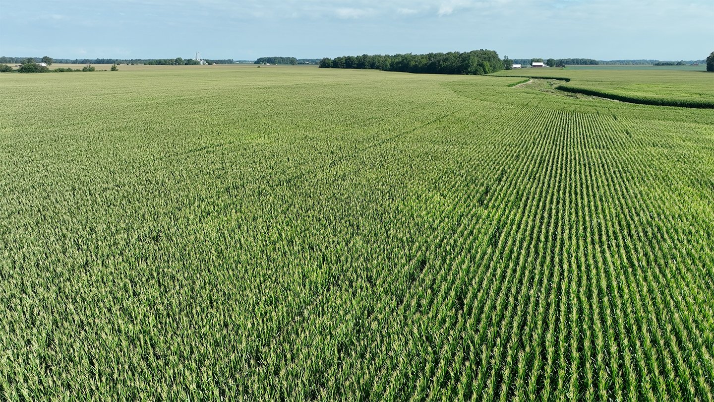 Property photo 7 - **CANCELED** LAND AUCTION - 256+/- ACRES OFFERED IN 5 TRACTS IN WELLS COUNTY, INDIANA