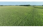 Property photo 7 - **CANCELED** LAND AUCTION - 256+/- ACRES OFFERED IN 5 TRACTS IN WELLS COUNTY, INDIANA