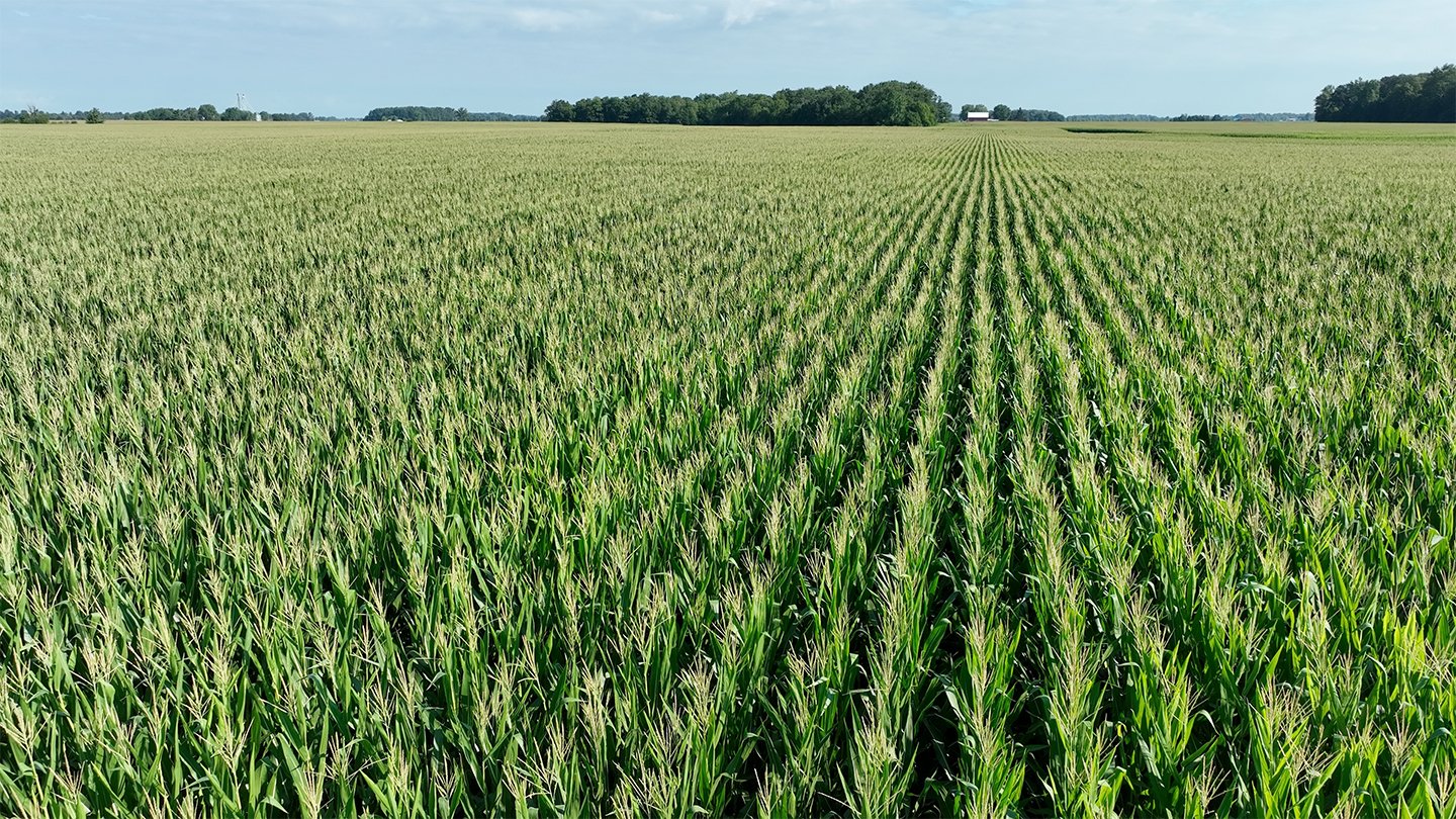 Property photo 8 - **CANCELED** LAND AUCTION - 256+/- ACRES OFFERED IN 5 TRACTS IN WELLS COUNTY, INDIANA