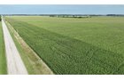 Property photo 9 - **CANCELED** LAND AUCTION - 256+/- ACRES OFFERED IN 5 TRACTS IN WELLS COUNTY, INDIANA