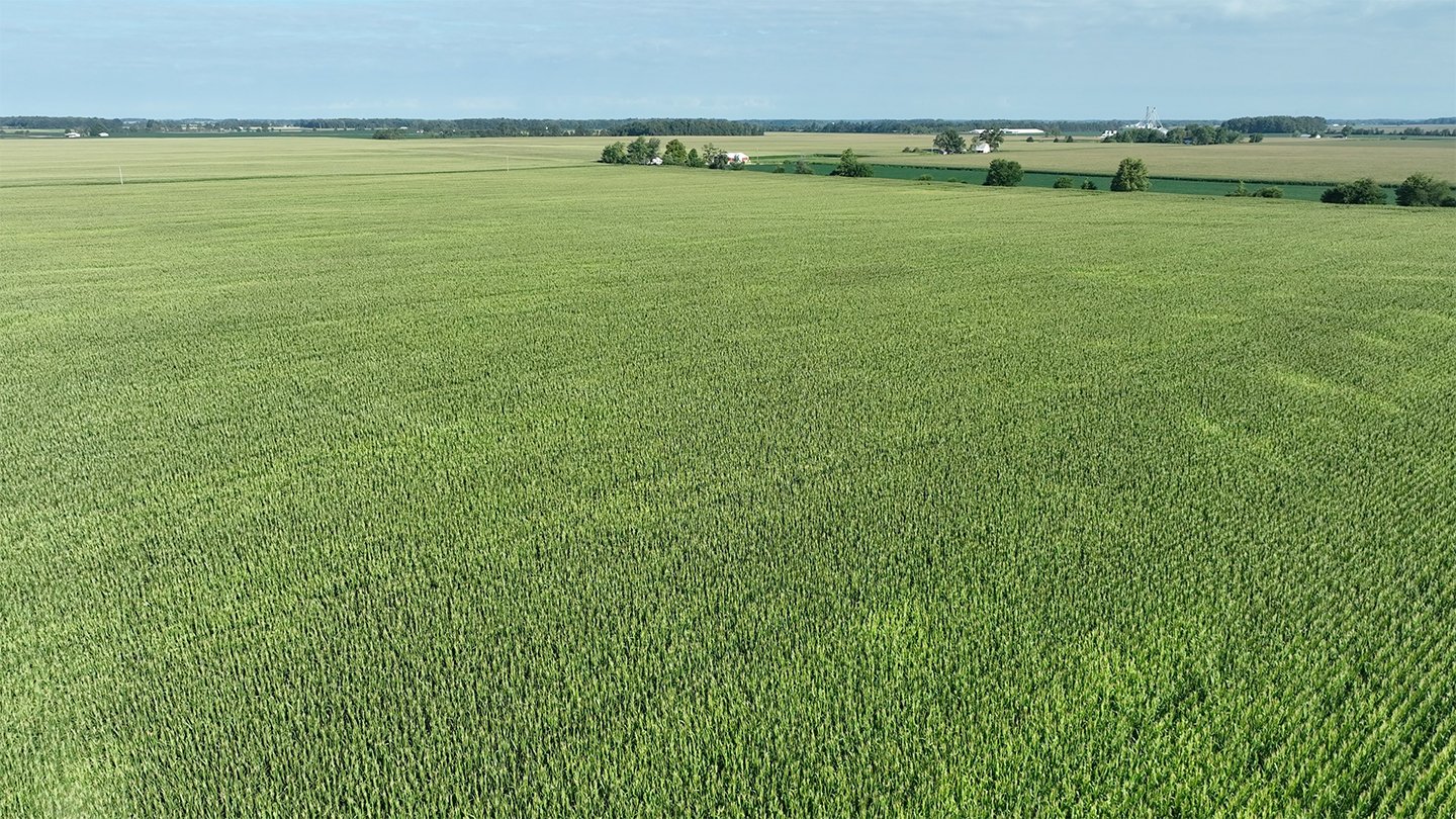 Property photo 10 - **CANCELED** LAND AUCTION - 256+/- ACRES OFFERED IN 5 TRACTS IN WELLS COUNTY, INDIANA