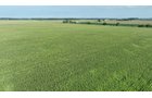 Property photo 10 - **CANCELED** LAND AUCTION - 256+/- ACRES OFFERED IN 5 TRACTS IN WELLS COUNTY, INDIANA