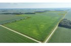Property photo 11 - **CANCELED** LAND AUCTION - 256+/- ACRES OFFERED IN 5 TRACTS IN WELLS COUNTY, INDIANA