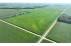 Property photo 12 - **CANCELED** LAND AUCTION - 256+/- ACRES OFFERED IN 5 TRACTS IN WELLS COUNTY, INDIANA