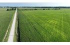 Property photo 13 - **CANCELED** LAND AUCTION - 256+/- ACRES OFFERED IN 5 TRACTS IN WELLS COUNTY, INDIANA