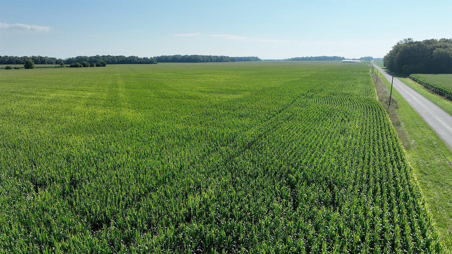 Property photo 14 - **CANCELED** LAND AUCTION - 256+/- ACRES OFFERED IN 5 TRACTS IN WELLS COUNTY, INDIANA