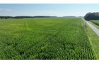 Property photo 14 - **CANCELED** LAND AUCTION - 256+/- ACRES OFFERED IN 5 TRACTS IN WELLS COUNTY, INDIANA