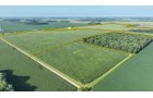 Property photo 4 - **CANCELED** LAND AUCTION - 256+/- ACRES OFFERED IN 5 TRACTS IN WELLS COUNTY, INDIANA
