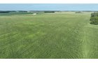 Property photo 15 - **CANCELED** LAND AUCTION - 256+/- ACRES OFFERED IN 5 TRACTS IN WELLS COUNTY, INDIANA