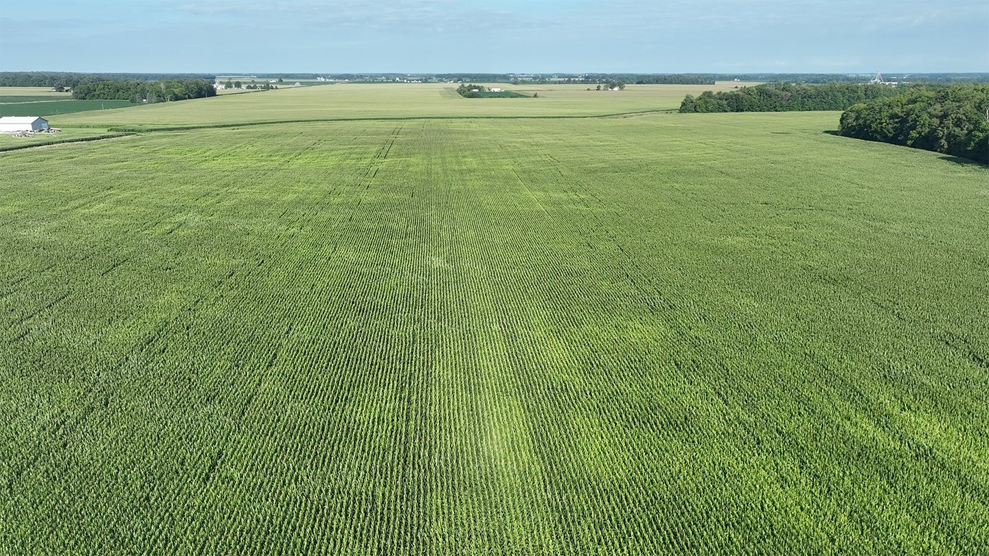 Property photo 16 - **CANCELED** LAND AUCTION - 256+/- ACRES OFFERED IN 5 TRACTS IN WELLS COUNTY, INDIANA