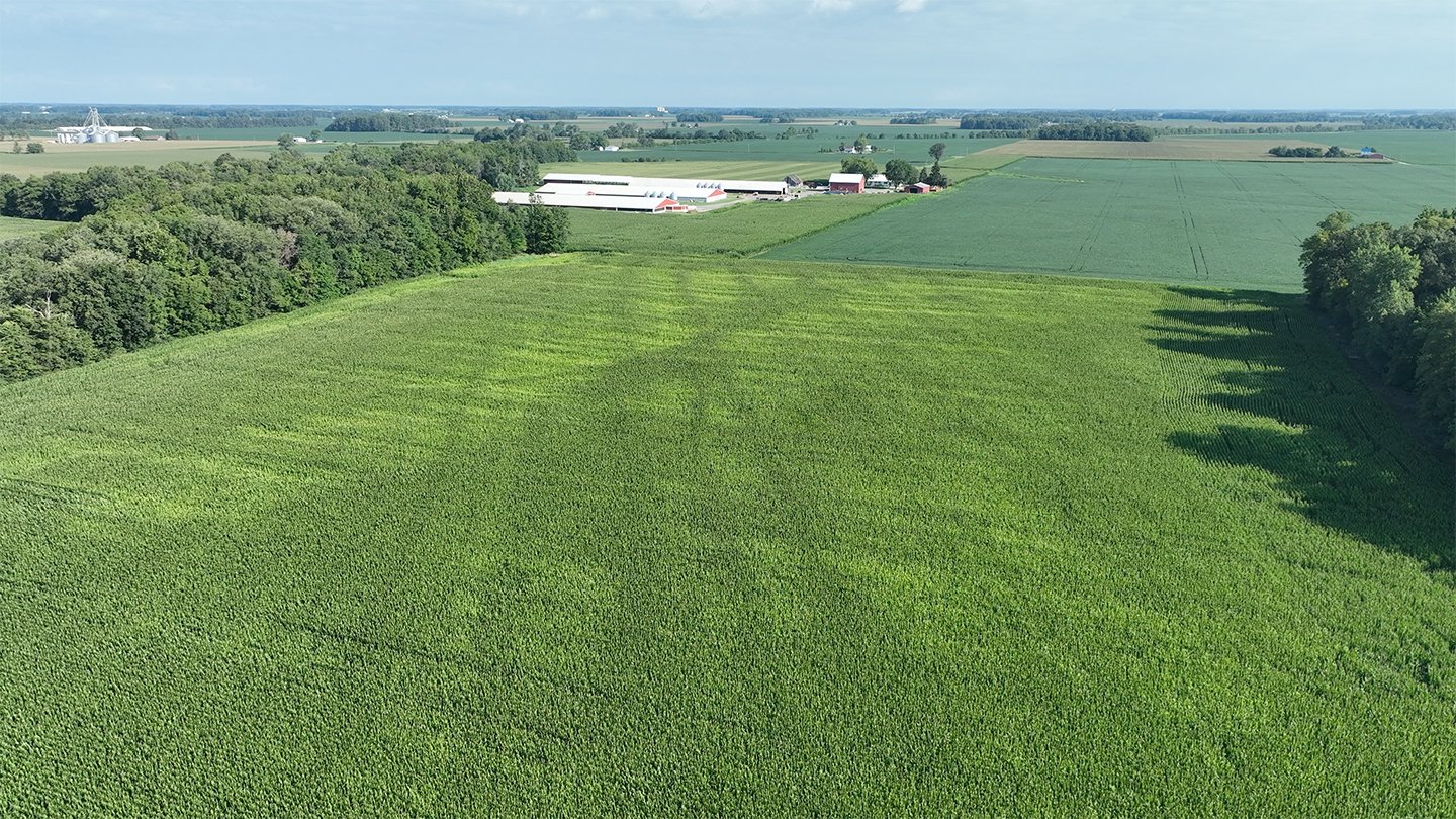 Property photo 17 - **CANCELED** LAND AUCTION - 256+/- ACRES OFFERED IN 5 TRACTS IN WELLS COUNTY, INDIANA