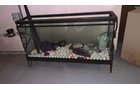 Property photo 157 - TIMED ONLINE ONLY PERSONAL PROPERTY AUCTION IN ALLEN COUNTY, INDIANA