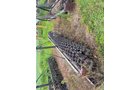 Property photo 79 - ROD BORGERT ESTATE FARM EQUIPMENT AUCTION IN ST. JOSEPH COUNTY, MICHIGAN