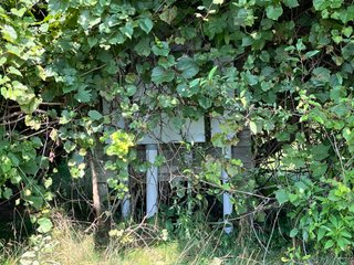 Property photo 17 - LAND AUCTION 103.9+/- ACRES OFFERED IN 5 TRACTS IN STEUBEN COUNTY INDIANA