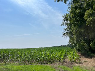 Property photo 20 - LAND AUCTION 103.9+/- ACRES OFFERED IN 5 TRACTS IN STEUBEN COUNTY INDIANA