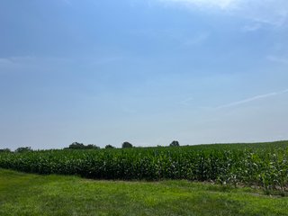 Property photo 21 - LAND AUCTION 103.9+/- ACRES OFFERED IN 5 TRACTS IN STEUBEN COUNTY INDIANA
